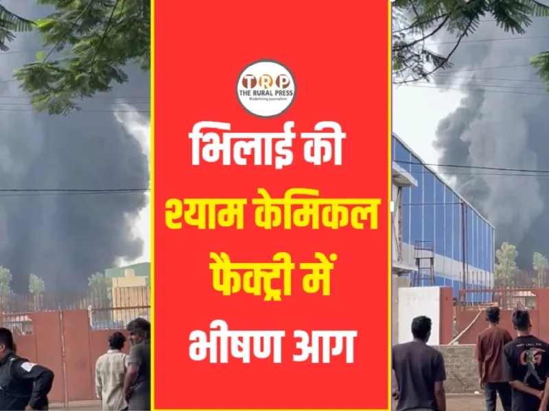Massive fire at Shyam Chemical Factory in Hathkhoj industrial area Bhilai