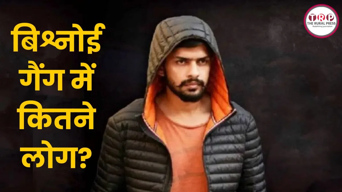 लॉरेंस बिश्नोई गैंग में कितने लोग? एक मैसेज में ही सक्रिय हो जाते है 800 शूटर्स! भारत समेत इन देशों में फैला नेटवर्क