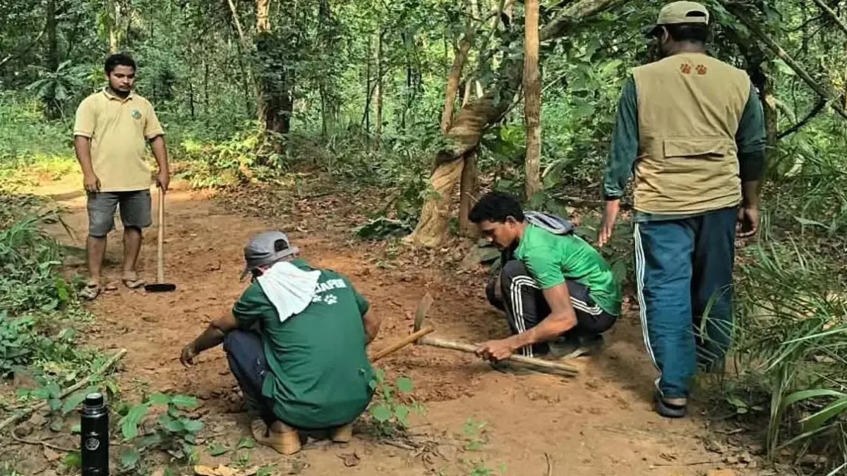 न कैमरा, न ड्रोन, एक इंच मिट्टी हटेगी और खुलेंगे जंगल के राज! बीजापुर में वन्यजीवों की निगरानी का नया तरीका