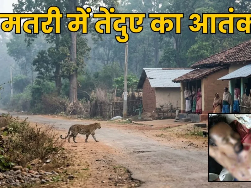 Leopard Enters Dhamtari Village
