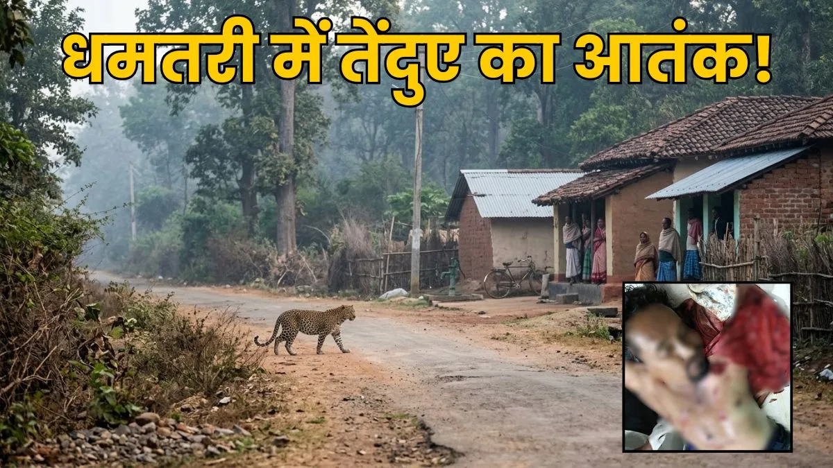 Chhattisgarh News: धमतरी में तेंदुए का आतंक! रात में 7 ग्रामीणों पर हमला, सुबह गांव में फिर दी दस्तक