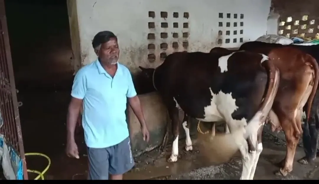 30 लीटर रोज दूध, 15 हजार की शुद्ध आय; जानिए एक गाय से शुरू हुई अगस्तु की Success Story