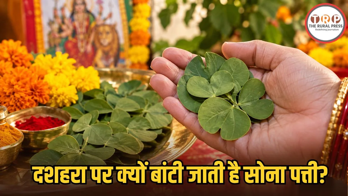 Dussehra Sona Patti: दशहरा पर क्यों बांटी जाती है सोना पत्ती? जानें इसका महत्व