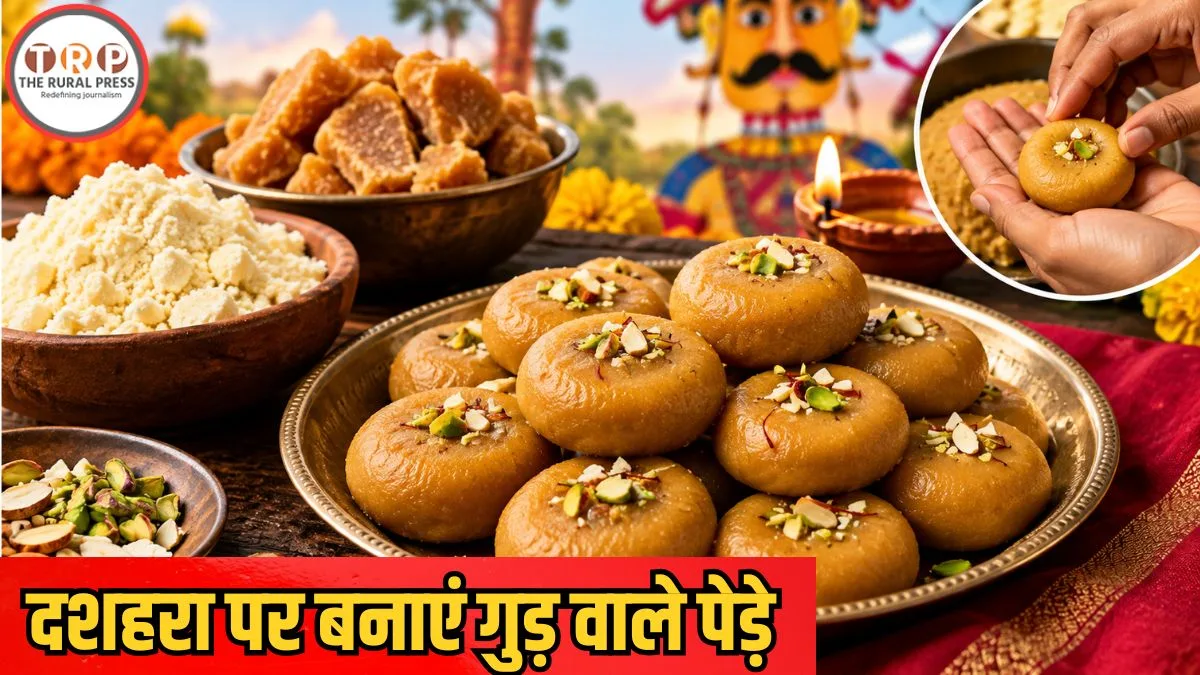 Dussehra Sweets: इस दशहरा घर पर बनाएं मावा-गुड़ पेड़ा, मेहमान भी करेंगे तारीफ