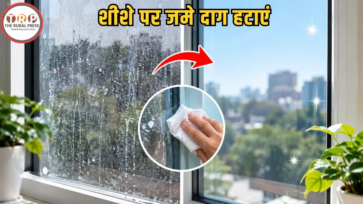 Glass Cleaning Tips: शीशे पर जमे जिद्दी दागों से हैं परेशान? बिना एक रुपया खर्च किए ऐसे बनाएं बिल्कुल नया जैसा