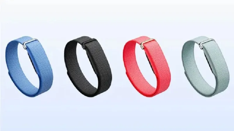स्मार्टवॉच से कैसे अलग है Fitbit Air? बिना स्क्रीन के ऐसे रखेगा हेल्थ का हिसाब