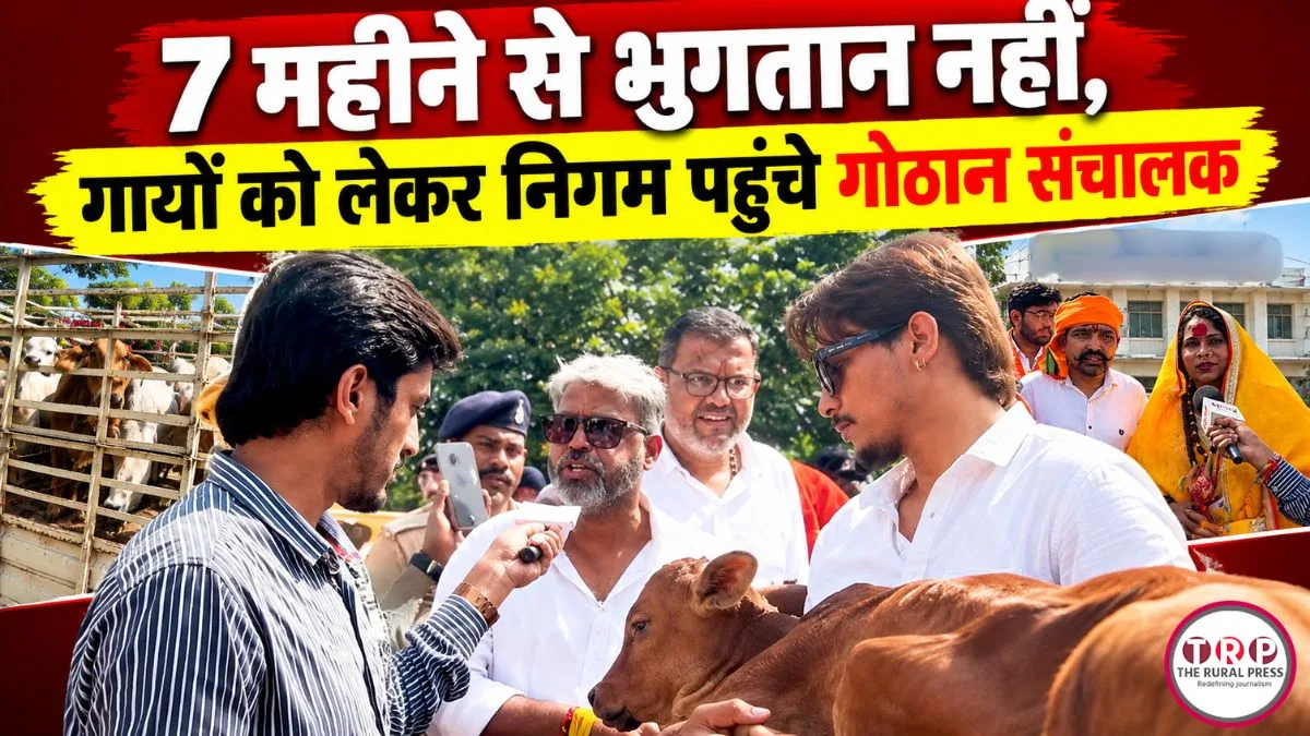 Raipur News: अनुबंध से दोगुनी गायें, 7 महीने से भुगतान नहीं, गायों को गाड़ियों में लेकर निगम पहुंचे गोठान संचालक