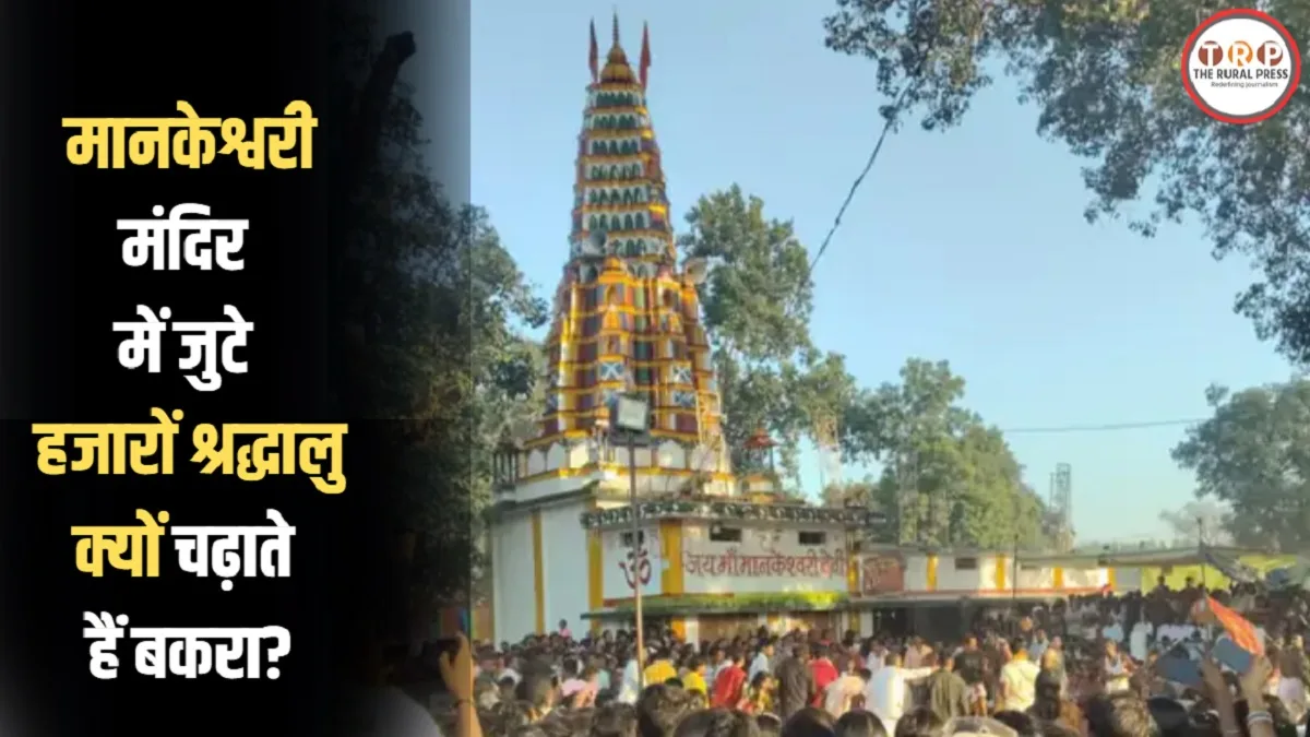 500 साल पुरानी बल पूजा में क्या होता है? रायगढ़ के मानकेश्वरी मंदिर की परंपरा
