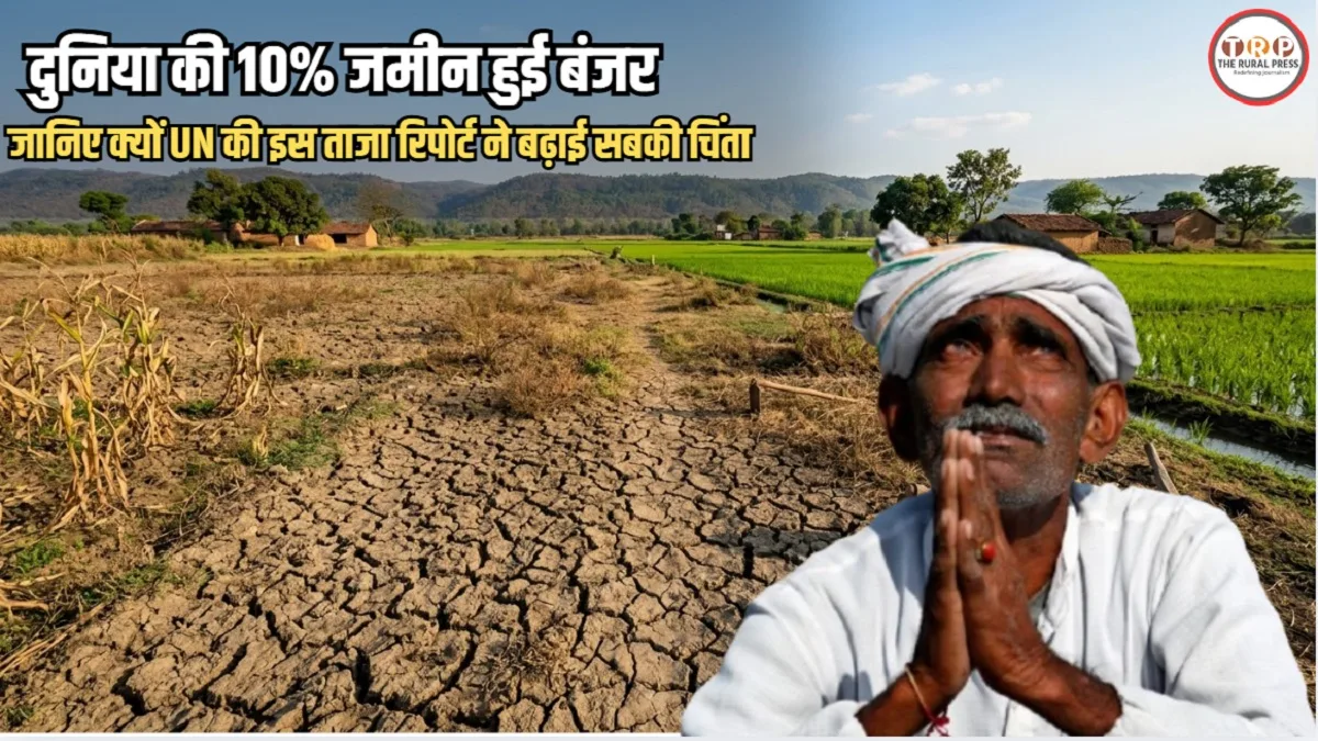 FAO report 2026 land degradation: क्या खत्म हो रहा है हमारा भोजन और पानी? जानिए दुनिया में क्यों बढ़ रहा है बंजर जमीन का आंकड़ा