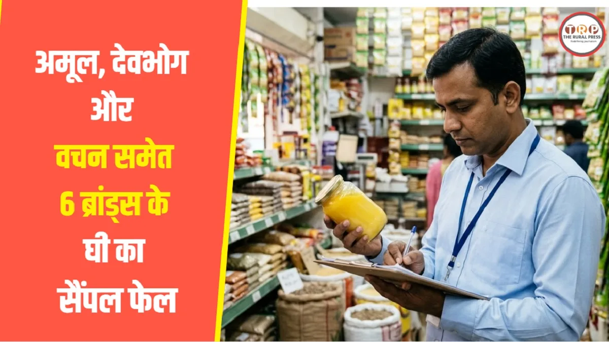 Raipur Ghee Sample Test: घी के नाम पर क्या बिक रहा? 12 में 6 सैंपल फेल, कई ब्रांड में ज्यादा लेड
