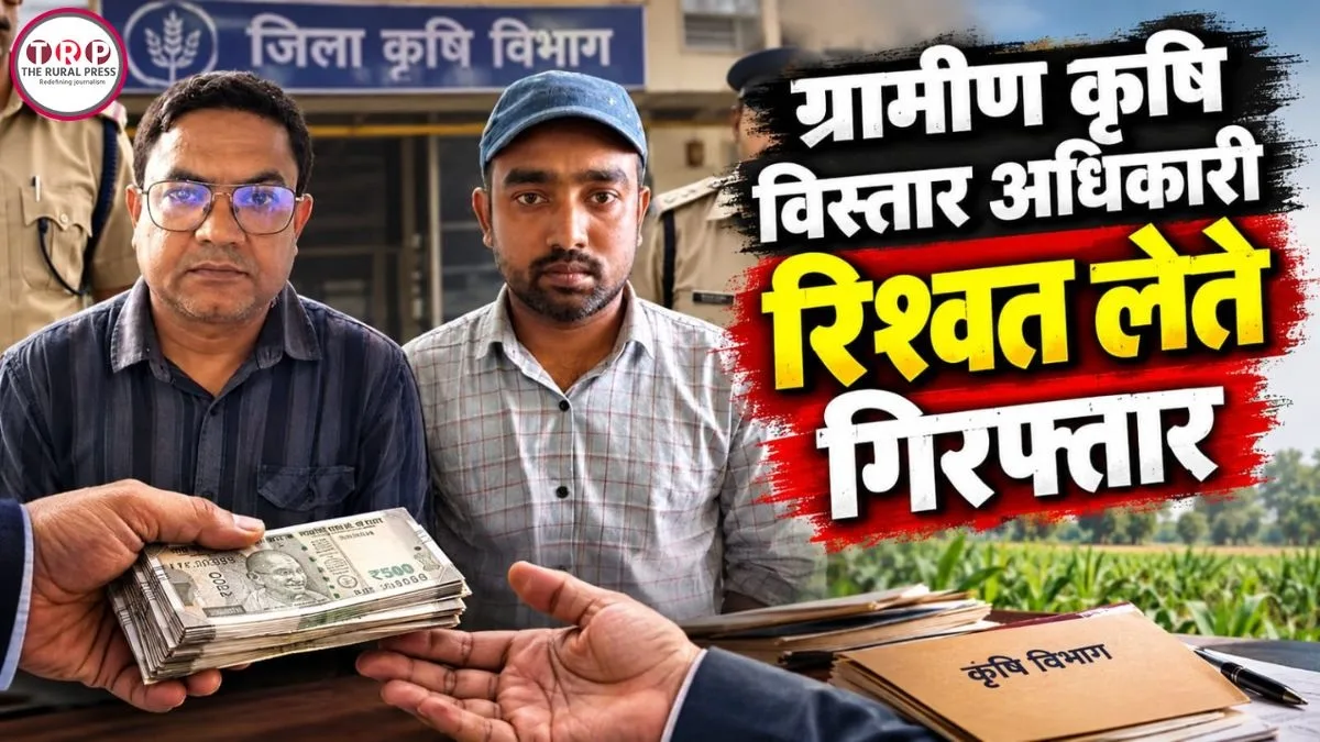 CG News: फसल बीमा के नाम पर रिश्वत ले रहे दो ग्रामीण कृषि विस्तार अधिकारी गिरफ्तार, एसीबी जगदलपुर की बड़ी कार्रवाई