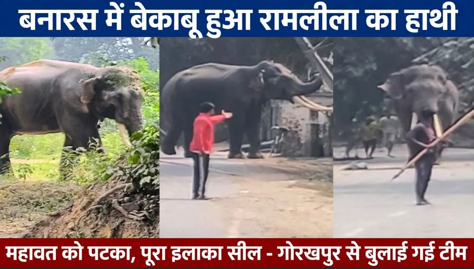 Banaras: बेकाबू हुआ रामलीला का हाथी, महावत को पटक कर किया घायल, काबू करने गोरखपुर से बुलाई गई टीम