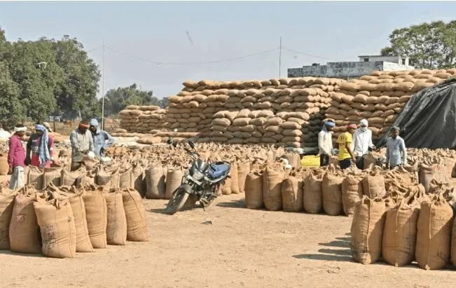 Chhattisgarh Dhan Kharidi 2026: छत्तीसगढ़ में 15 नवंबर से धान खरीदी शुरू, जानें इस साल कितना है सर्मथन मूल्य और जरूरी नियम