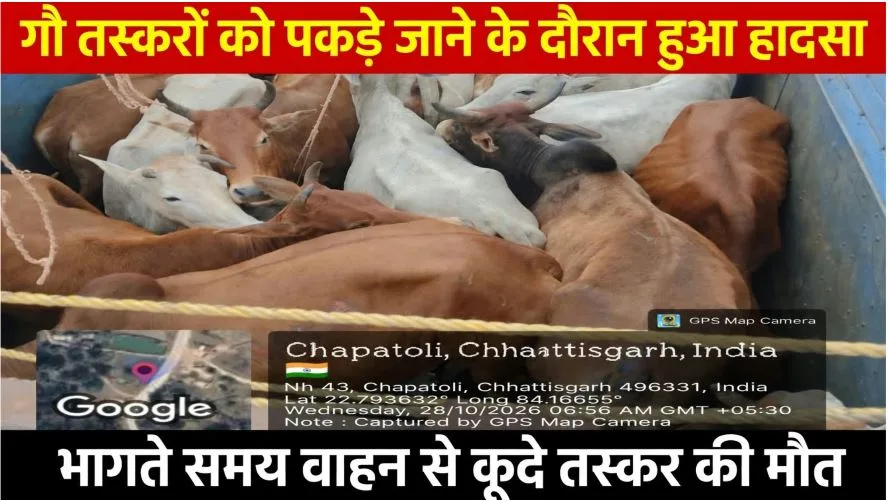 Jashpurnagar: गौ तस्करों को पकड़े जाने के दौरान हुआ हादसा, गोवंश से भरे ट्रक को लेकर भागते समय वाहन से कूदे तस्कर की मौत, एक पकड़ाया