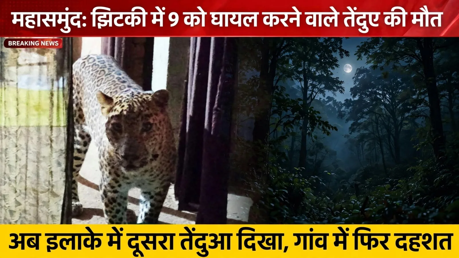 झिटकी में दहशत खत्म नहीं: 9 लोगों पर हमला करने वाले तेंदुए की इलाज के दौरान मौत, अब दूसरे तेंदुए की आहट से गांव में फिर डर