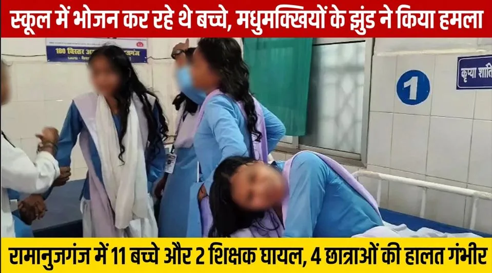 Ramanujganj: स्कूल में भोजन कर रहे थे बच्चे, मधुमक्खियों के झुंड ने अचानक किया हमला, फिर मची भगदड़